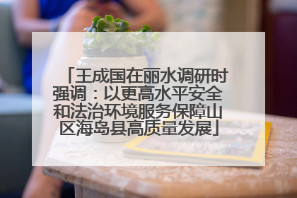 王成国在丽水调研时强调：以更高水平安全和法治环境服务保障山区海岛县高质量发展