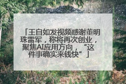 王自如发视频感谢董明珠雷军，称将再次创业，聚焦AI应用方向，“这件事确实来钱快”