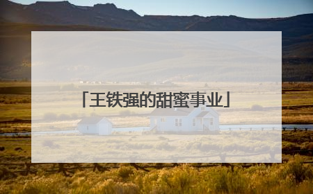 王铁强的甜蜜事业