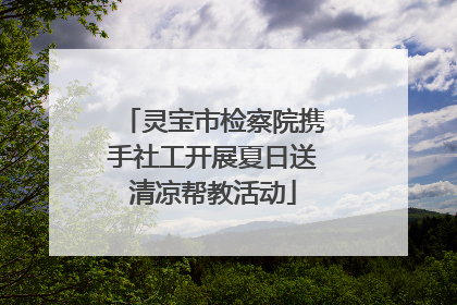 灵宝市检察院携手社工开展夏日送清凉帮教活动