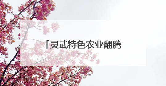 灵武特色农业翻腾振兴“致富浪”