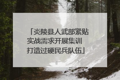 炎陵县人武部紧贴实战需求开展集训 打造过硬民兵队伍