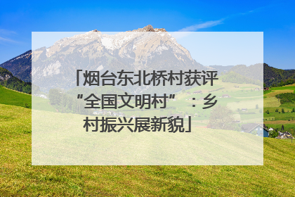 烟台东北桥村获评“全国文明村”：乡村振兴展新貌