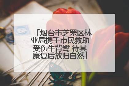 烟台市芝罘区林业局携手市民救助受伤牛背鹭 待其康复后放归自然