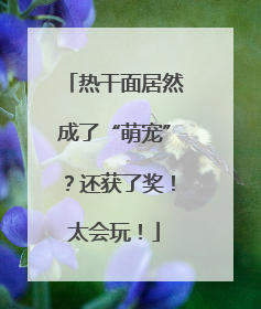 热干面居然成了“萌宠”？还获了奖！太会玩！