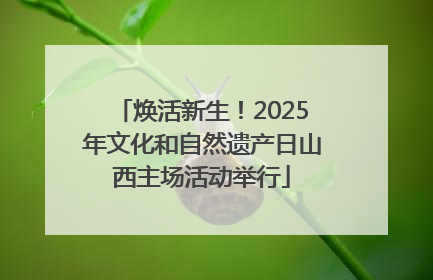 焕活新生！2025年文化和自然遗产日山西主场活动举行