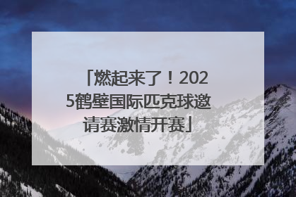 燃起来了！2025鹤壁国际匹克球邀请赛激情开赛