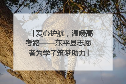 爱心护航，温暖高考路——东平县志愿者为学子筑梦助力