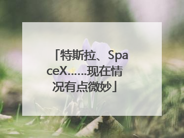 特斯拉、SpaceX……现在情况有点微妙