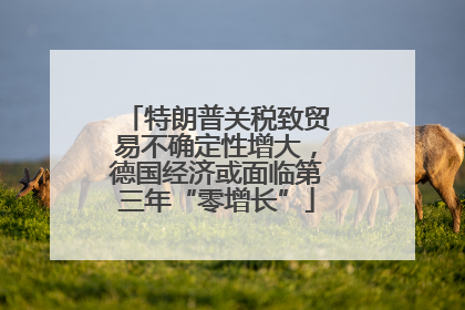 特朗普关税致贸易不确定性增大，德国经济或面临第三年“零增长”
