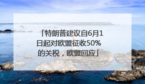 特朗普建议自6月1日起对欧盟征收50%的关税，欧盟回应