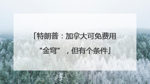 特朗普：加拿大可免费用“金穹”，但有个条件