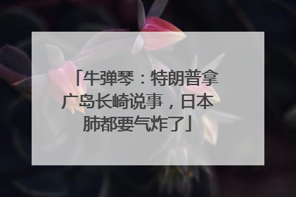 牛弹琴：特朗普拿广岛长崎说事，日本肺都要气炸了