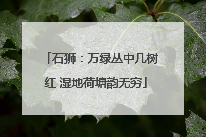 石狮：万绿丛中几树红 湿地荷塘韵无穷
