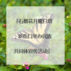 石榴花开耀白塔，新街口举办民族共同体宣传活动