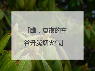 瞧，夏夜的车谷升腾烟火气