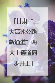 甘肃“三大高速公路新通道”两大主通道同步开工