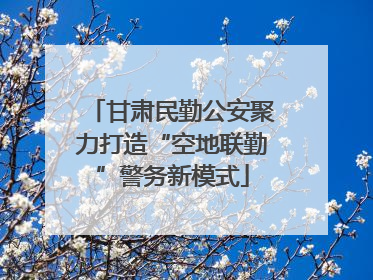 甘肃民勤公安聚力打造“空地联勤”警务新模式