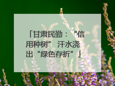 甘肃民勤：“信用种树” 汗水浇出“绿色存折”