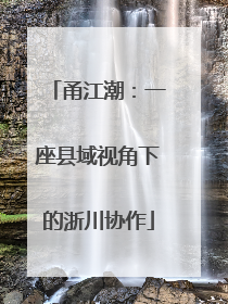 甬江潮：一座县域视角下的浙川协作