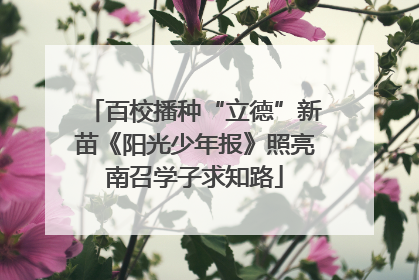 百校播种“立德”新苗《阳光少年报》照亮南召学子求知路