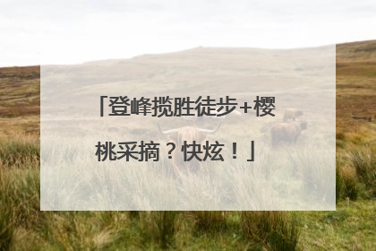 登峰揽胜徒步+樱桃采摘？快炫！