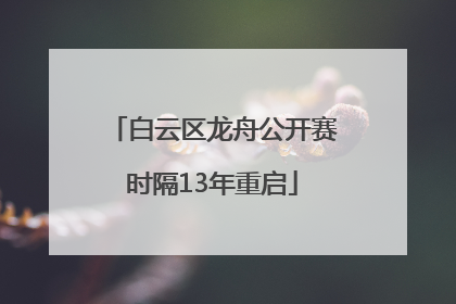 白云区龙舟公开赛时隔13年重启