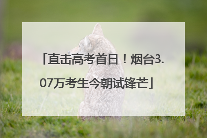 直击高考首日！烟台3.07万考生今朝试锋芒