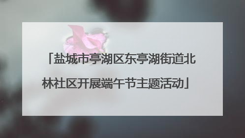 盐城市亭湖区东亭湖街道北林社区开展端午节主题活动