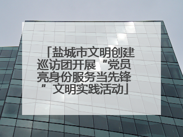 盐城市文明创建巡访团开展“党员亮身份服务当先锋”文明实践活动