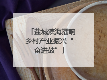 盐城滨海擂响乡村产业振兴“奋进鼓”