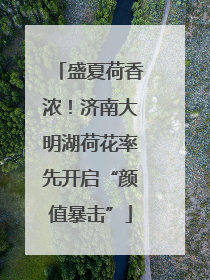 盛夏荷香浓！济南大明湖荷花率先开启“颜值暴击”