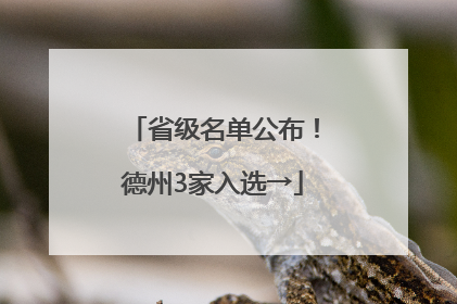 省级名单公布！德州3家入选→