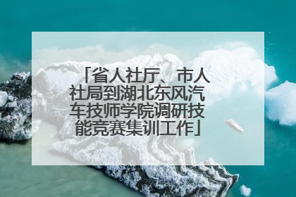 省人社厅、市人社局到湖北东风汽车技师学院调研技能竞赛集训工作