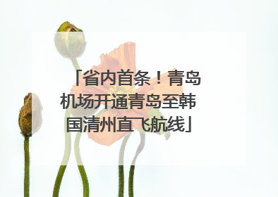 省内首条！青岛机场开通青岛至韩国清州直飞航线