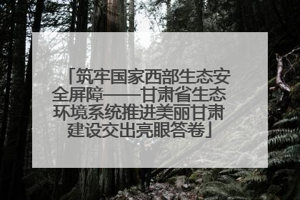 筑牢国家西部生态安全屏障——甘肃省生态环境系统推进美丽甘肃建设交出亮眼答卷
