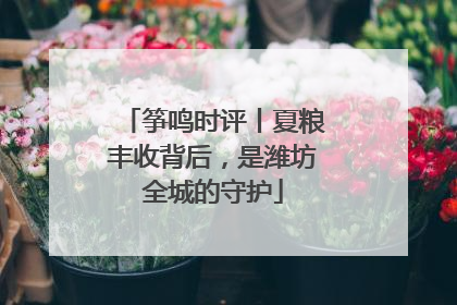 筝鸣时评丨夏粮丰收背后，是潍坊全城的守护