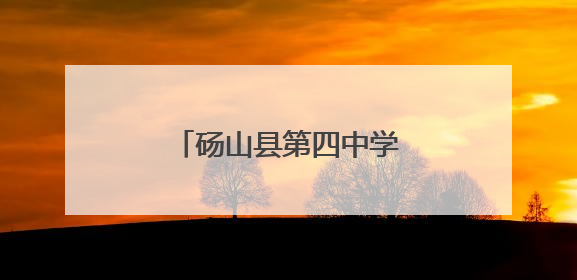 砀山县第四中学：弘扬爱国精神，深耕民法典宣传