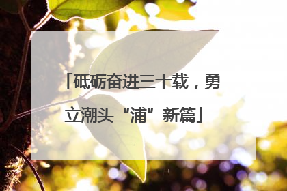 砥砺奋进三十载，勇立潮头“浦”新篇