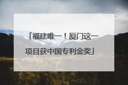 福建唯一！厦门这一项目获中国专利金奖