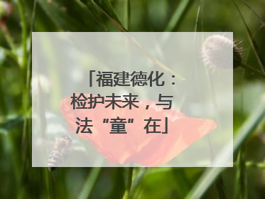 福建德化：检护未来，与法“童”在