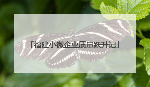 福建小微企业质量跃升记