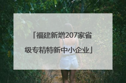 福建新增207家省级专精特新中小企业