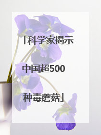 科学家揭示中国超500种毒蘑菇