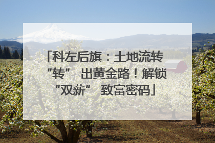 科左后旗：土地流转 “转” 出黄金路！解锁 “双薪” 致富密码