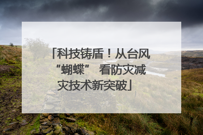 科技铸盾！从台风“蝴蝶” 看防灾减灾技术新突破