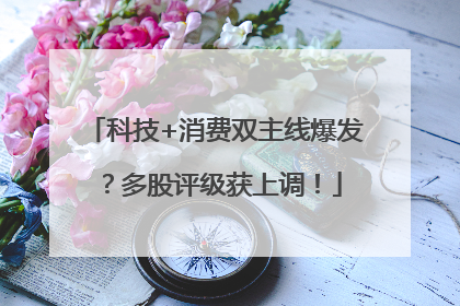 科技+消费双主线爆发？多股评级获上调！