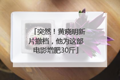 突然！黄晓明新片撤档，他为这部电影增肥30斤