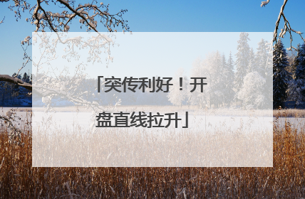 突传利好！开盘直线拉升