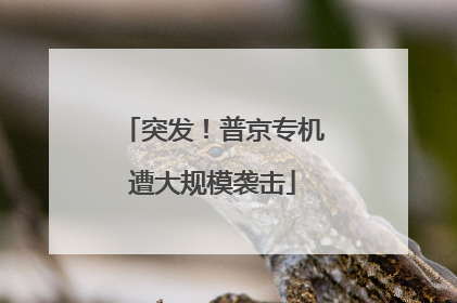 突发！普京专机遭大规模袭击